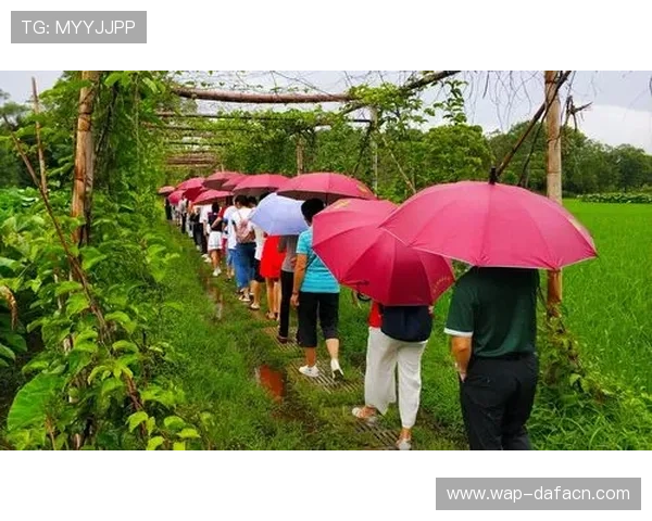 大发娱乐会员权益全面解析让你轻松掌握会员专属优惠内容