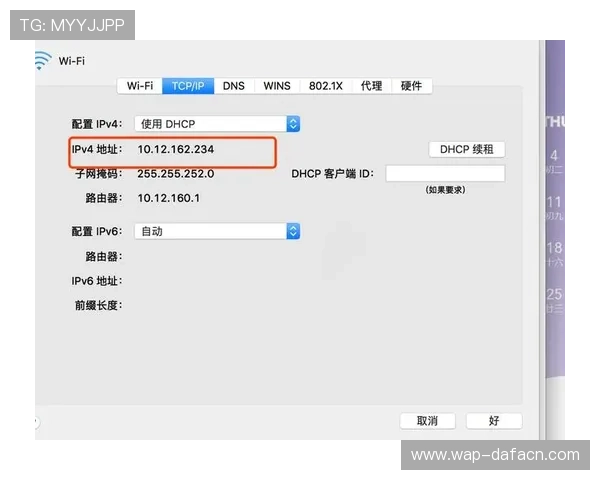 找到AG厅电投官方地址的正确途径与登录步骤详解