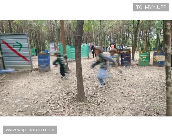 多人混战游戏真人对战模式详解带你领略真实战场的刺激体验