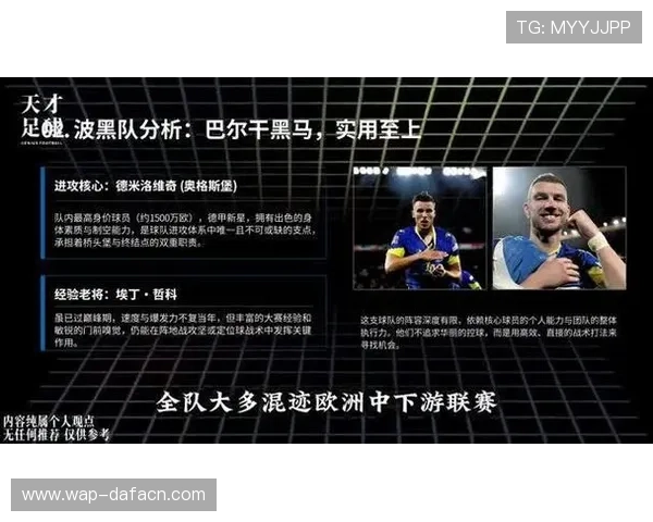 世界杯瑞士波黑比赛结束后关键数据指标全面总结与分析 世界杯瑞士波黑比赛结束后关键数据指标全面总结与分析